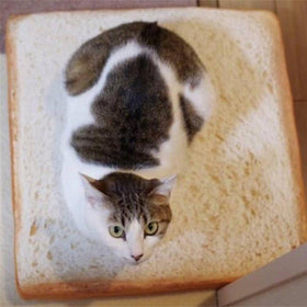 Yum Yum Toast Bread Bed